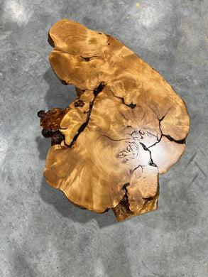 Missoula larch burl coffee table